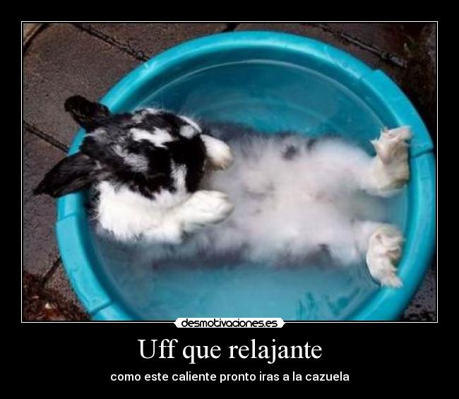 Uff que relajante - como este caliente pronto iras a la cazuela