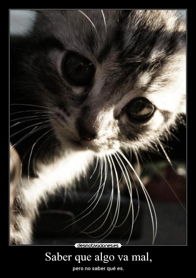 carteles cds nombre del viento eso jode mucho sobre todo pasa todos los putos diass desmotivaciones