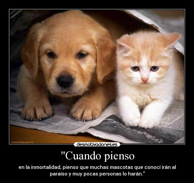 Cuando pienso - en la inmortalidad, pienso que muchas mascotas que conocí irán al
paraíso y muy pocas personas lo harán.