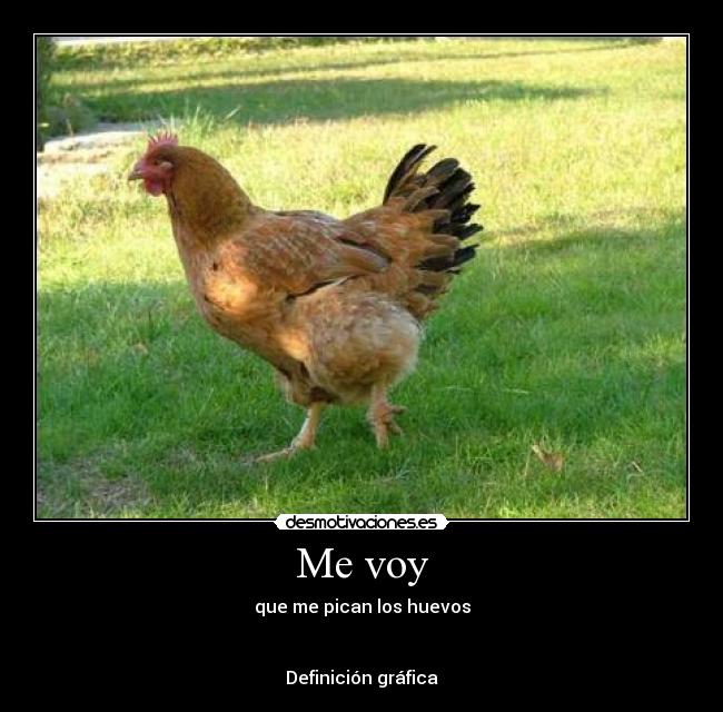 Me voy - 