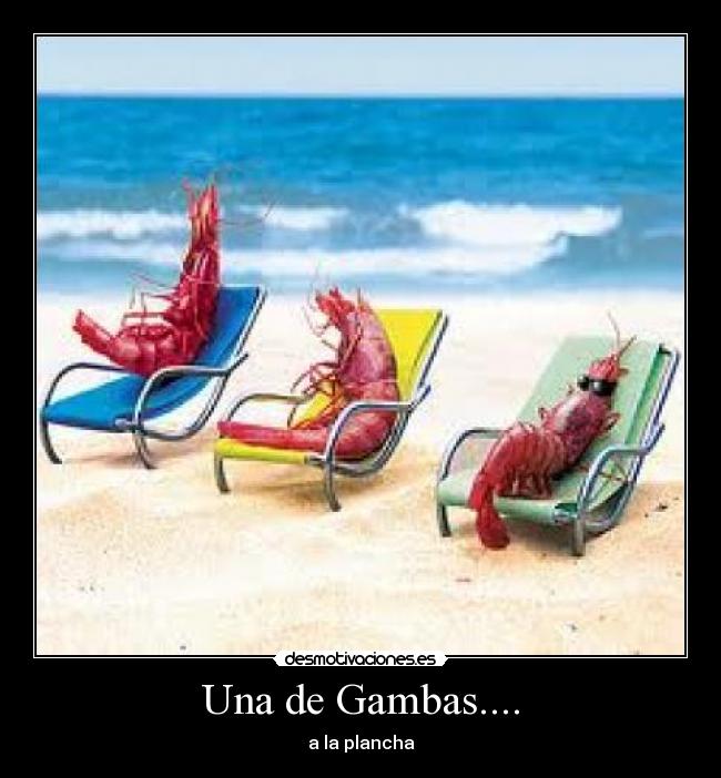 Una de Gambas.... -