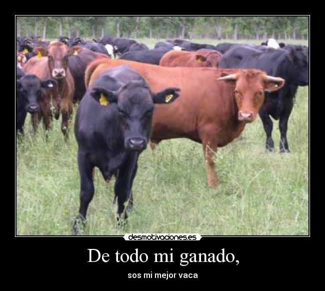 De todo mi ganado, - 