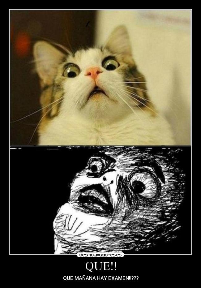 QUE!! -
