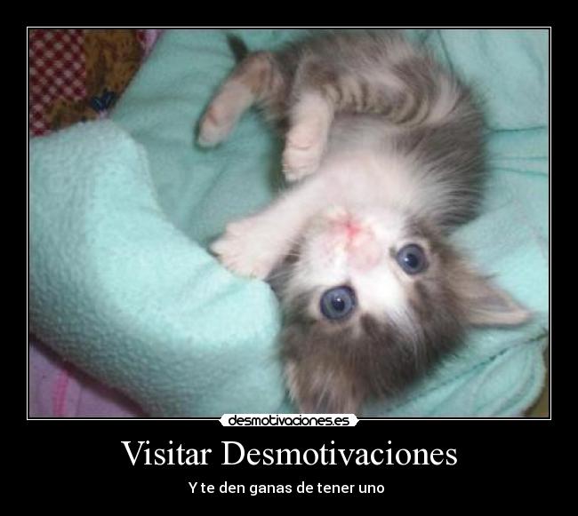 Visitar Desmotivaciones - 