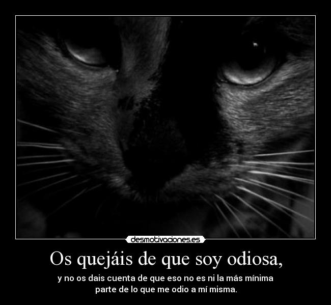 carteles ejemplos propios desmotivaciones