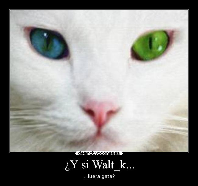 ¿Y si Walt_k... -