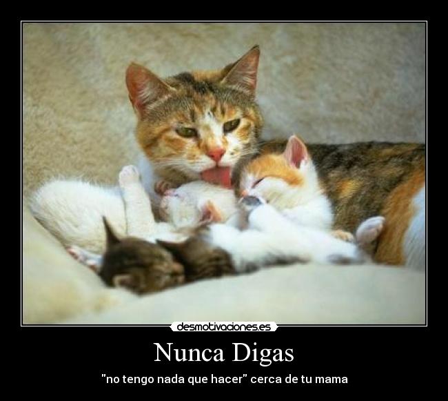 Nunca Digas -