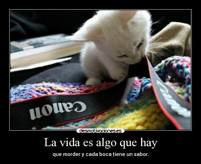 La vida es algo que hay -