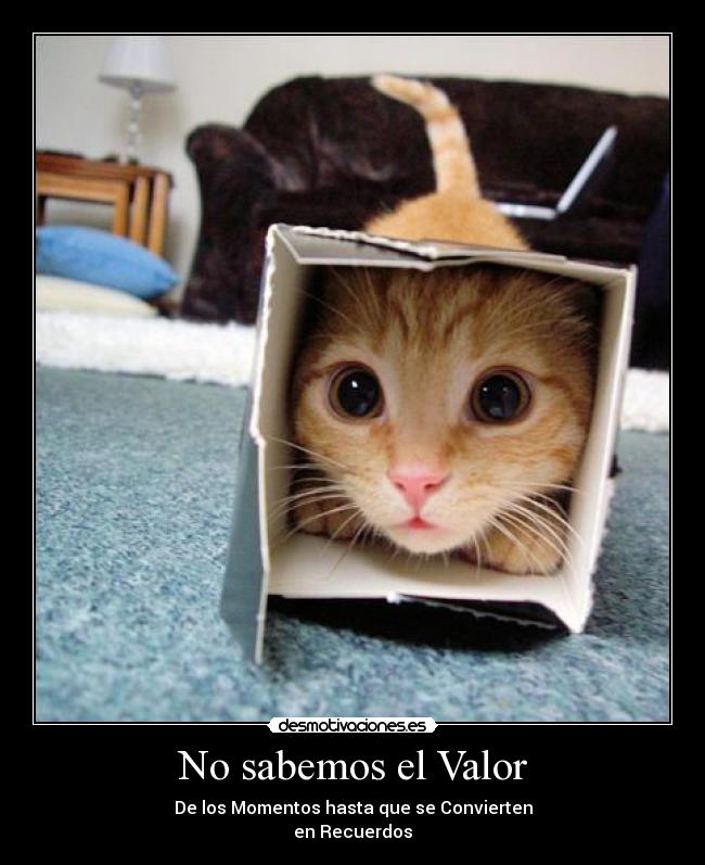 No sabemos el Valor - 