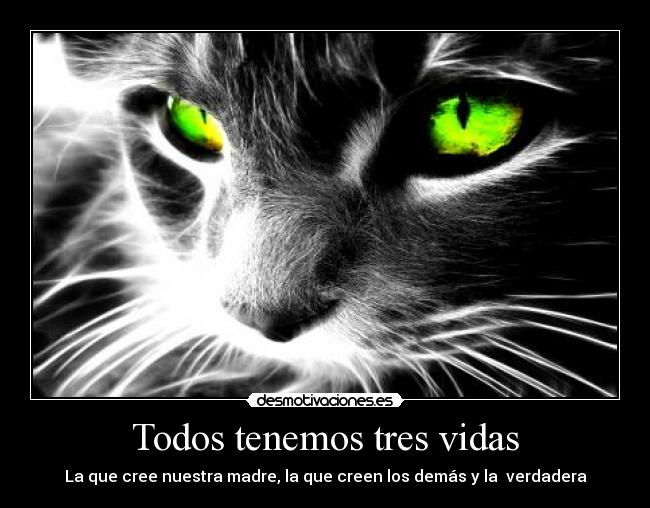Todos tenemos tres vidas - 