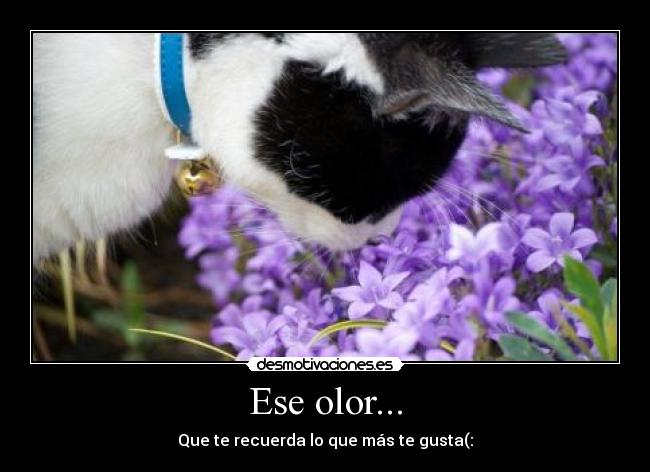 Ese olor... -