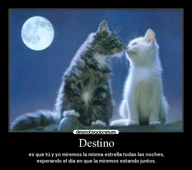 Destino - es que tú y yo miremos la misma estrella todas las noches,
esperando el día en que la miremos estando juntos.