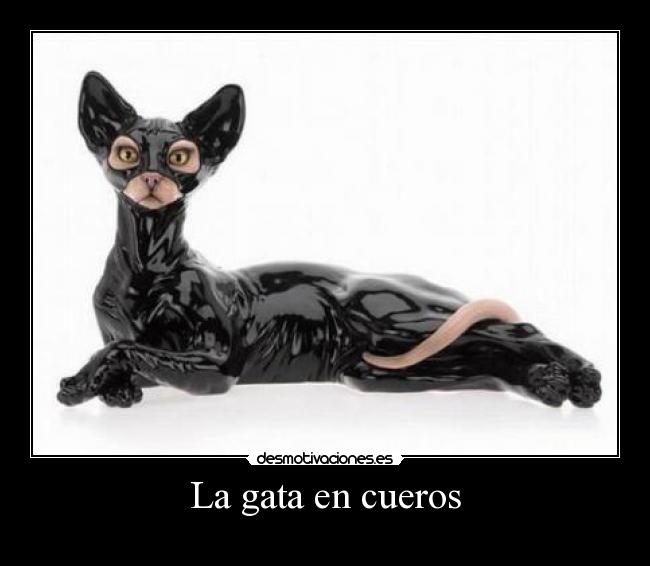 La gata en cueros - 