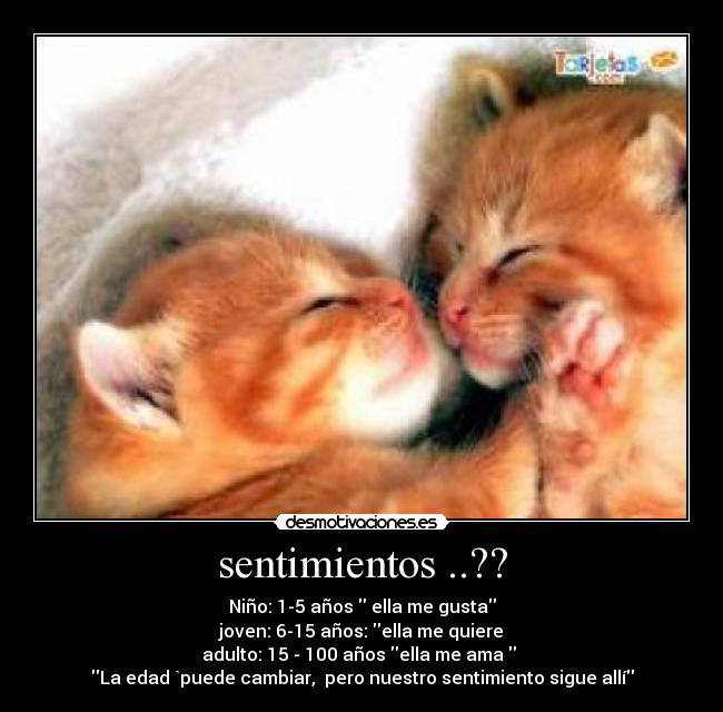 sentimientos ..?? - Niño: 1-5 años ella me gusta
joven: 6-15 años: ella me quiere
adulto: 15 - 100 años ella me ama ♥
La edad `puede cambiar, pero nuestro sentimiento sigue allí