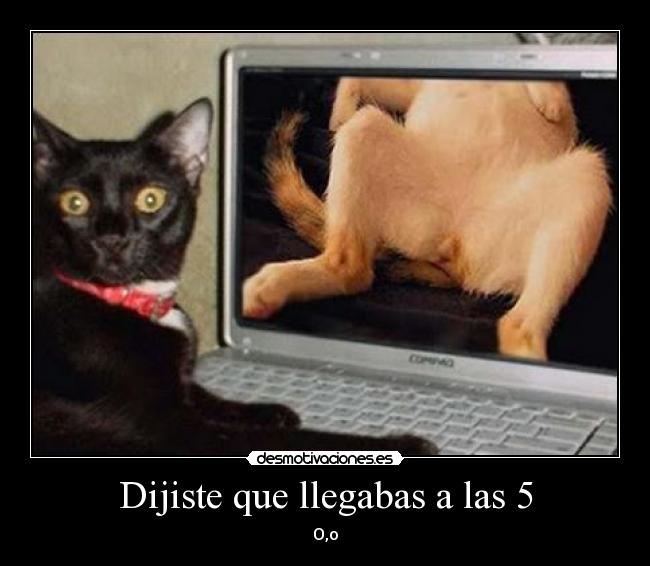 Dijiste que llegabas a las 5 -