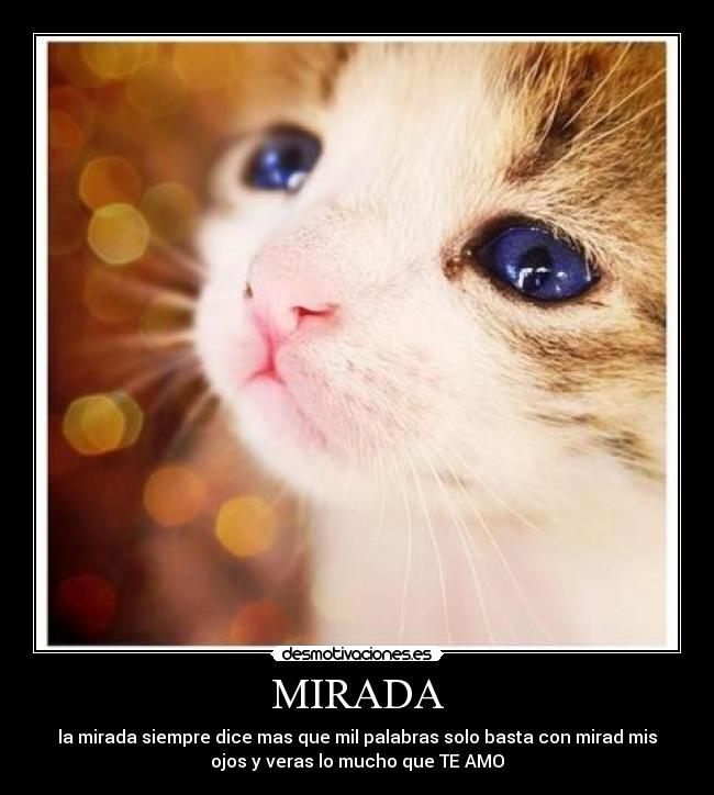 MIRADA -