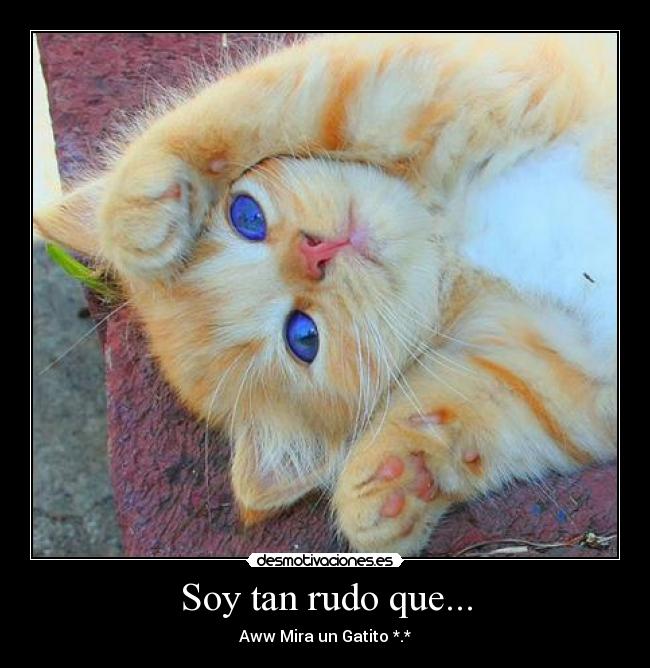 Soy tan rudo que... - 