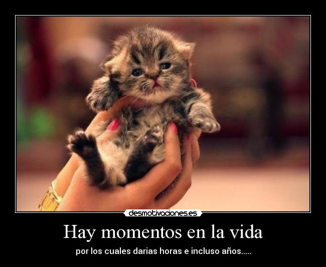 Hay momentos en la vida -