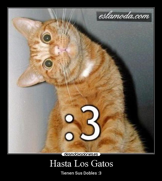 Hasta Los Gatos - Tienen Sus Dobles :3