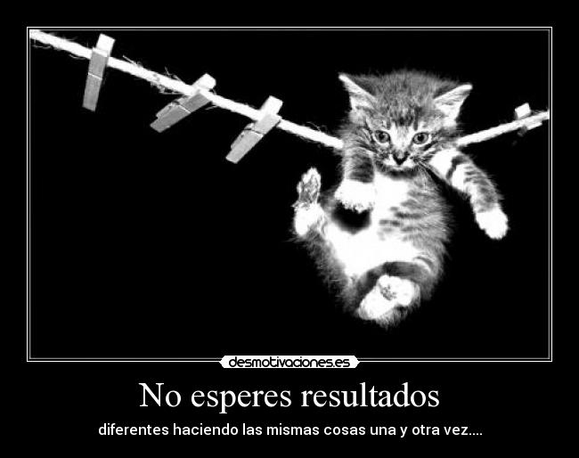 No esperes resultados -