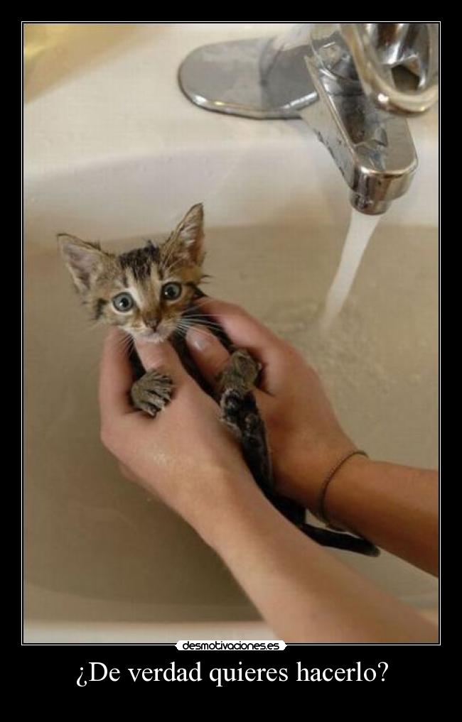 ¿De verdad quieres hacerlo? -