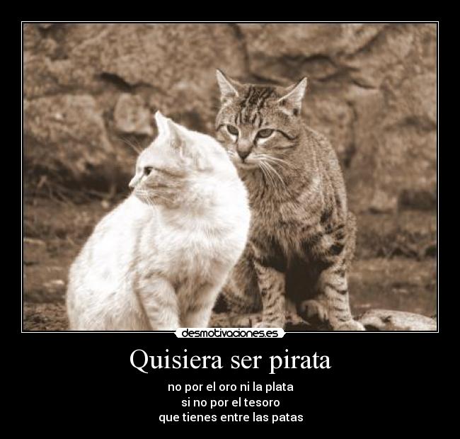 Quisiera ser pirata -