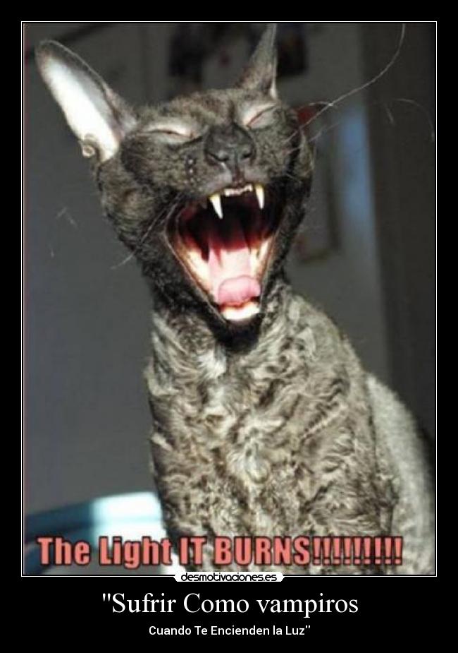 Sufrir Como vampiros -