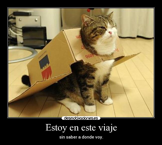 Estoy en este viaje -