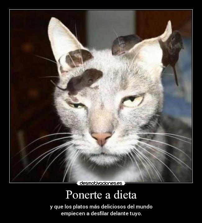 Ponerte a dieta - y que los platos más deliciosos del mundo
empiecen a desfilar delante tuyo.