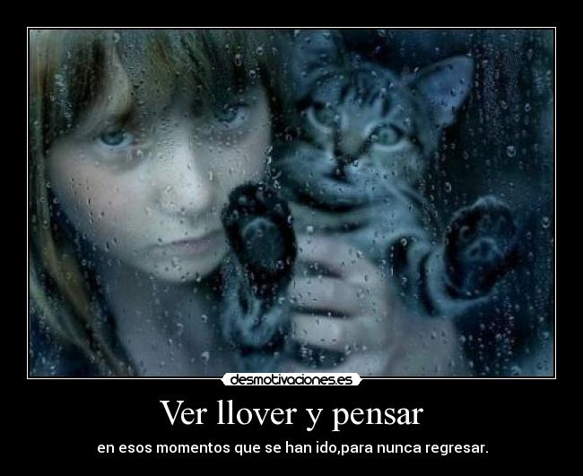 Ver llover y pensar -