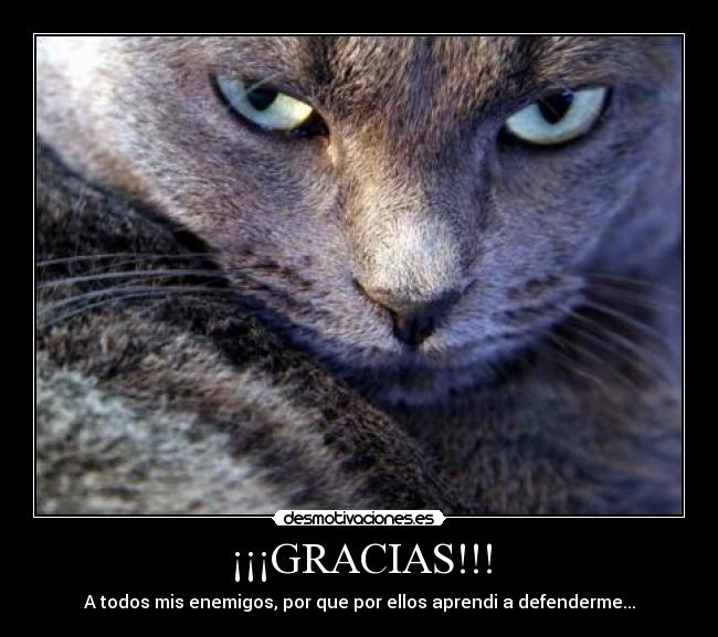 ¡¡¡GRACIAS!!! - A todos mis enemigos, por que por ellos aprendi a defenderme...
