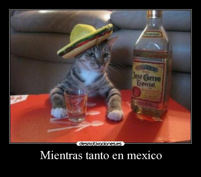 Mientras tanto en mexico -