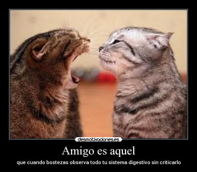 Amigo es aquel -