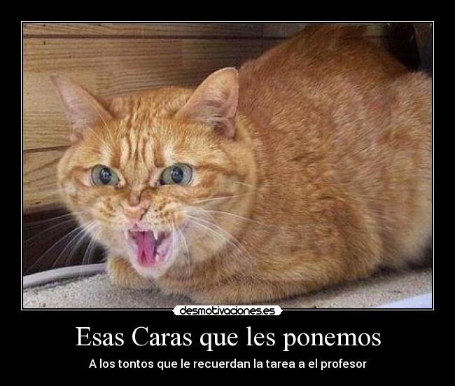Esas Caras que les ponemos -