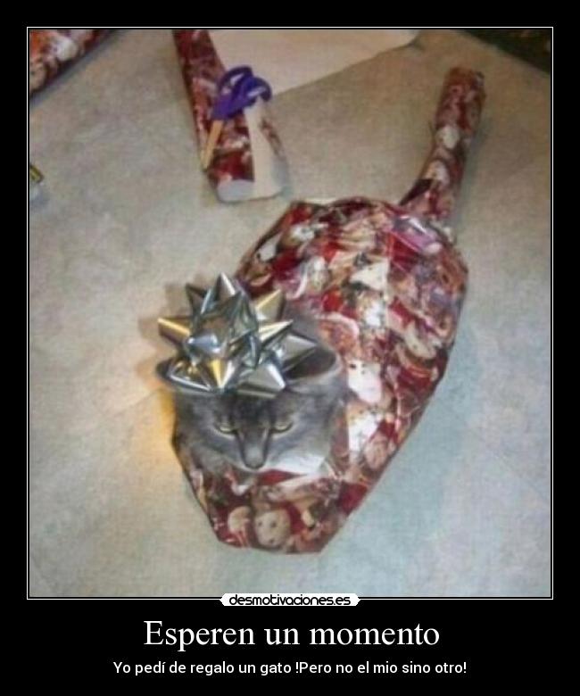 Esperen un momento - Yo pedí de regalo un gato !Pero no el mio sino otro!