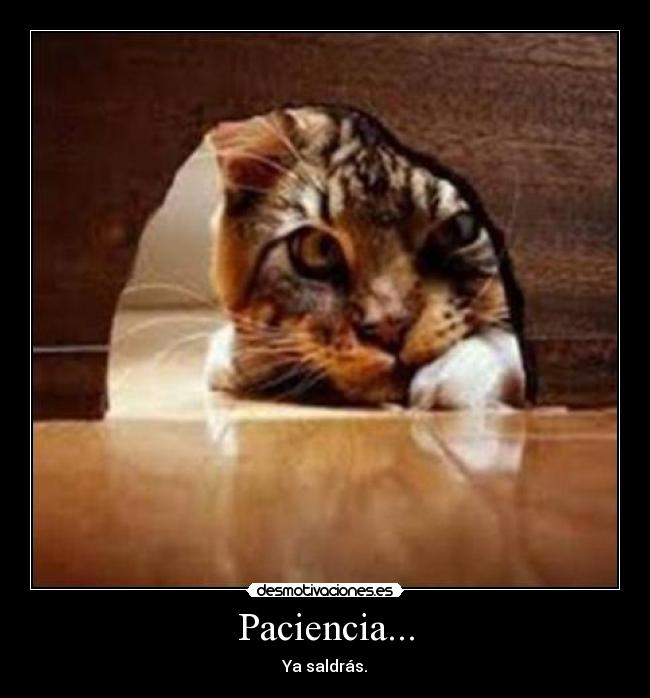 Paciencia... - Ya saldrás.