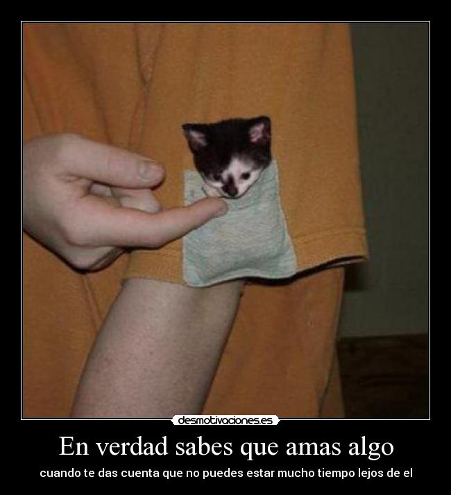 En verdad sabes que amas algo - cuando te das cuenta que no puedes estar mucho tiempo lejos de el