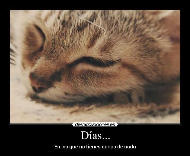 Días... -