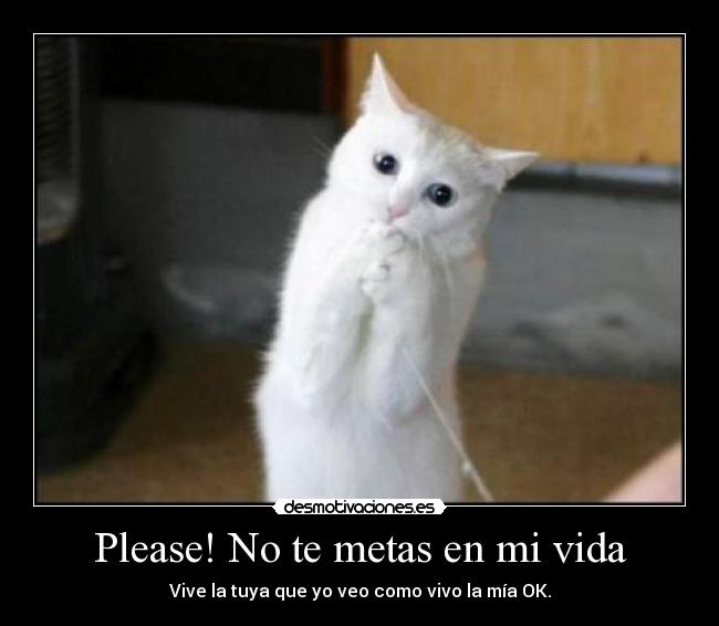 Please! No te metas en mi vida -