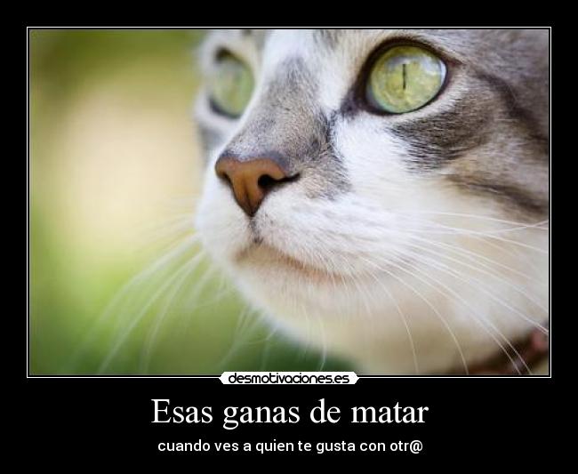 Esas ganas de matar -