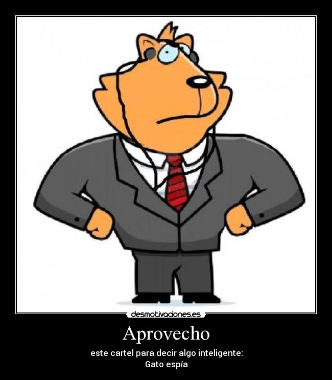 Aprovecho - este cartel para decir algo inteligente:
Gato espía