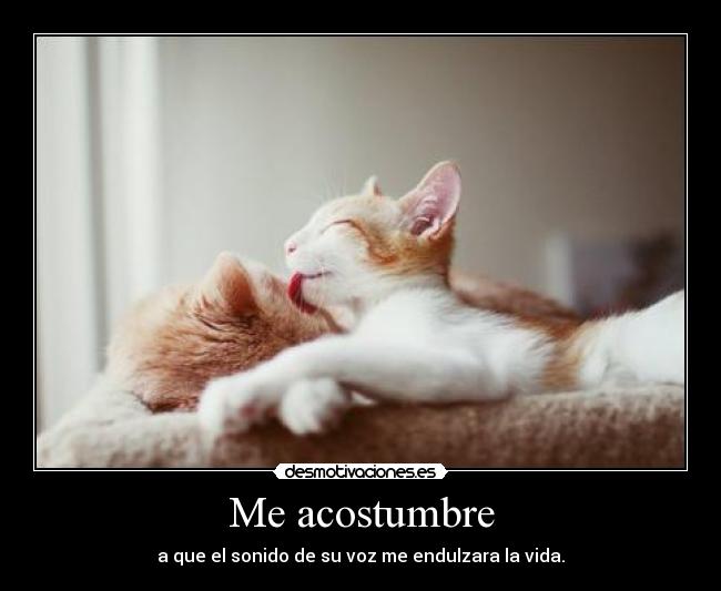 Me acostumbre -