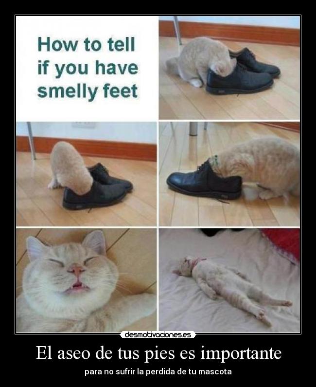 El aseo de tus pies es importante -
