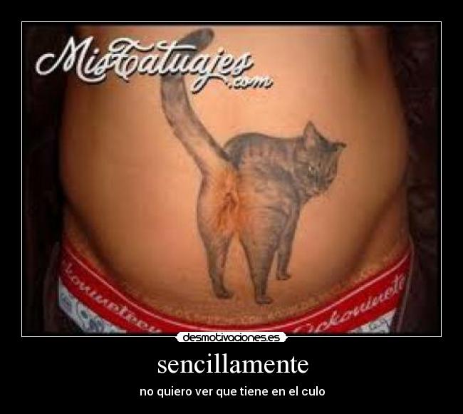 carteles sassa desmotivaciones