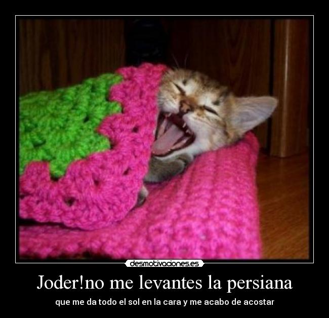 Joder!no me levantes la persiana - 