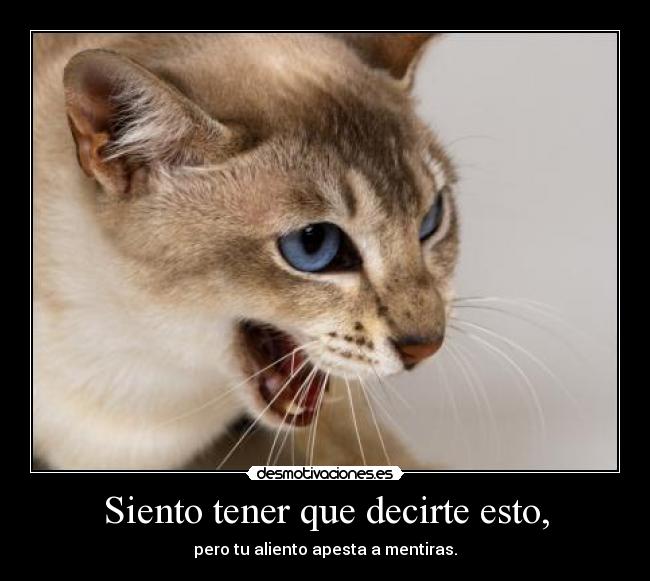 Siento tener que decirte esto, -