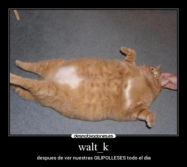 walt_k - despues de ver nuestras GILIPOLLESES todo el dia