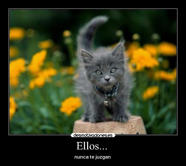 Ellos...  - 
