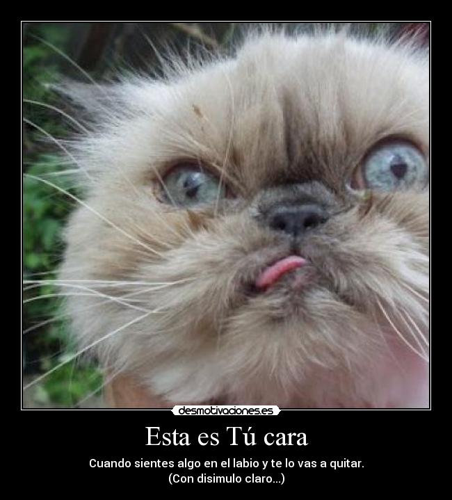Esta es Tú cara -