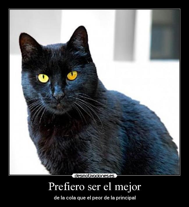 Prefiero ser el mejor -